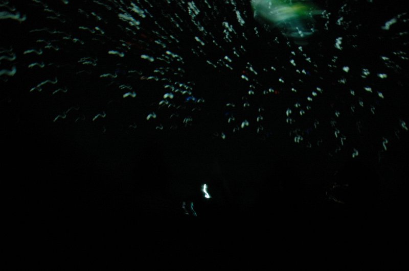 DSC_5826.JPG